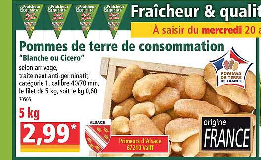 Pommes De Terre De Consommation "blanche Ou Cicero"