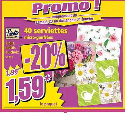 Serviettes Micro Gaufrées Painter