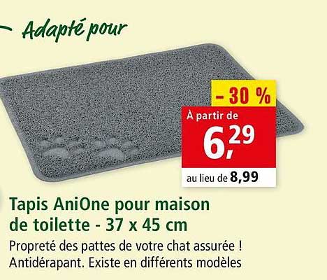 Tapis Anione Pour Maison De Toilette