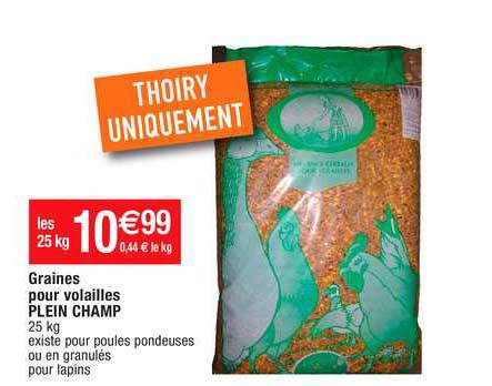 graines pour volailles plein champ