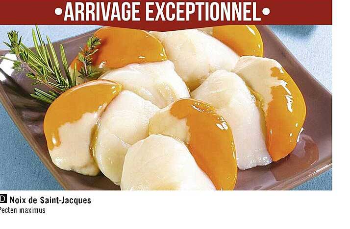 Noix De Saint-jacques
