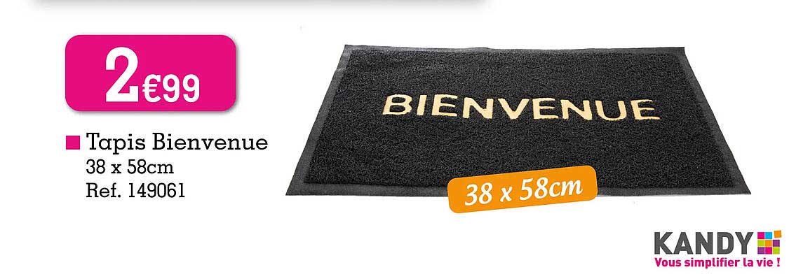tapis bienvenue 38 x 58 cm