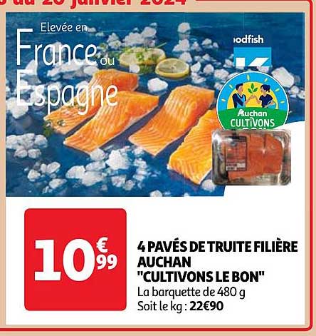 4 pavés de truite filière auchan "cultivons le bon"