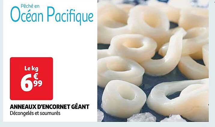 anneaux d'encornet géant