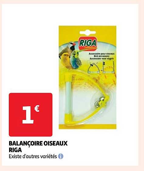 balançoire oiseaux riga