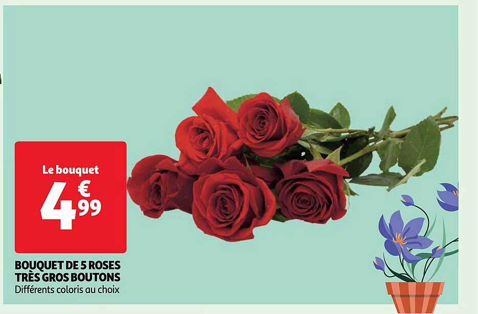 bouquet de 5 roses très gros boutons
