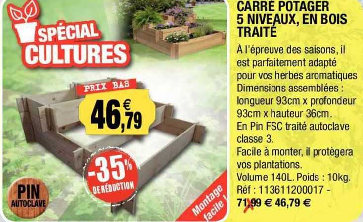carré potager 5 niveaux, en bois traité
