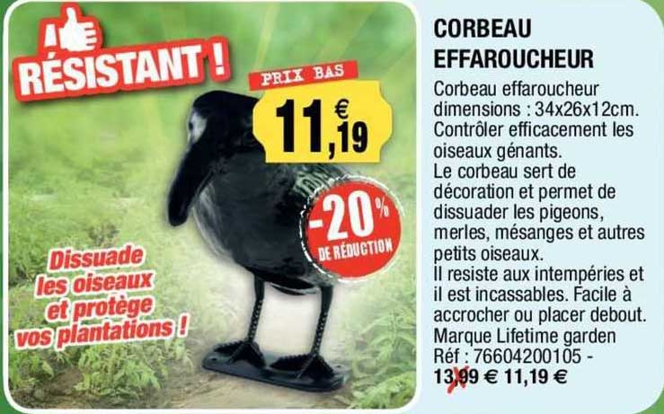 corbeau effaroucheur