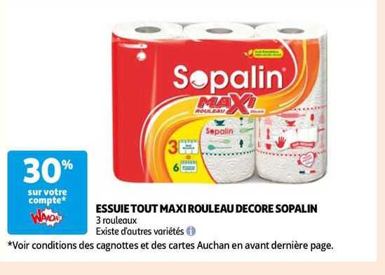 essuie tout maxi rouleau décoré sopalin