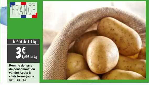 pomme de terre de consommation variété agata à chair ferme jaune