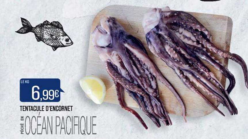 tentacule d'encornet