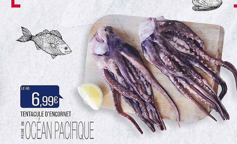 tentacule d'encornet