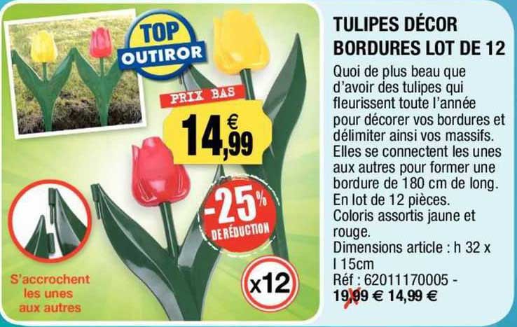 tulipes décor bordures lot de 12