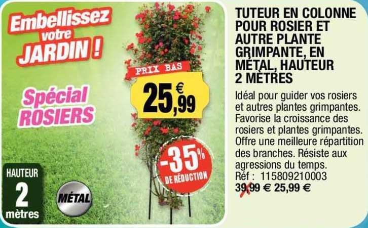 tuteur en colonne pour rosier et autre plante grimpante, en métal, hauteur 2 mètres