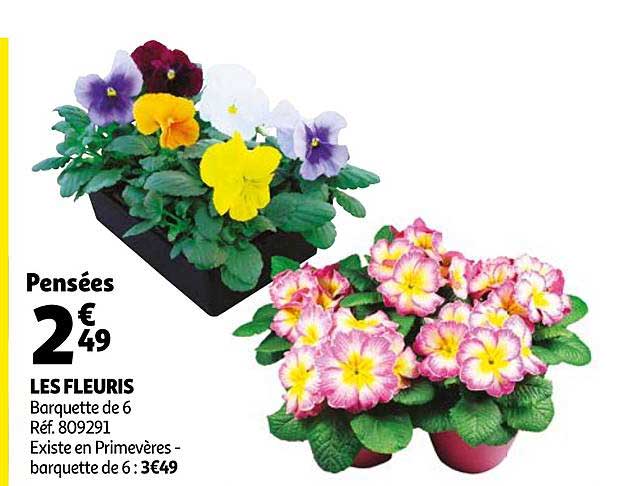 les fleuris