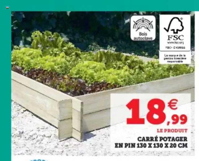 Carré Potager En Pin 130 X 130 X 20 Cm