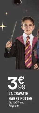 cravate harry potter