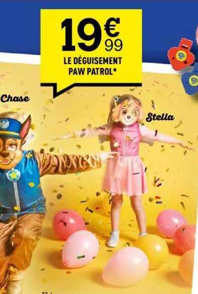 le déguisement paw patrol