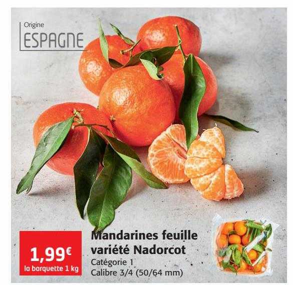 mandarines feuille variété nadorcot