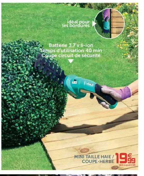 mini taille haie ou coupe-herbe