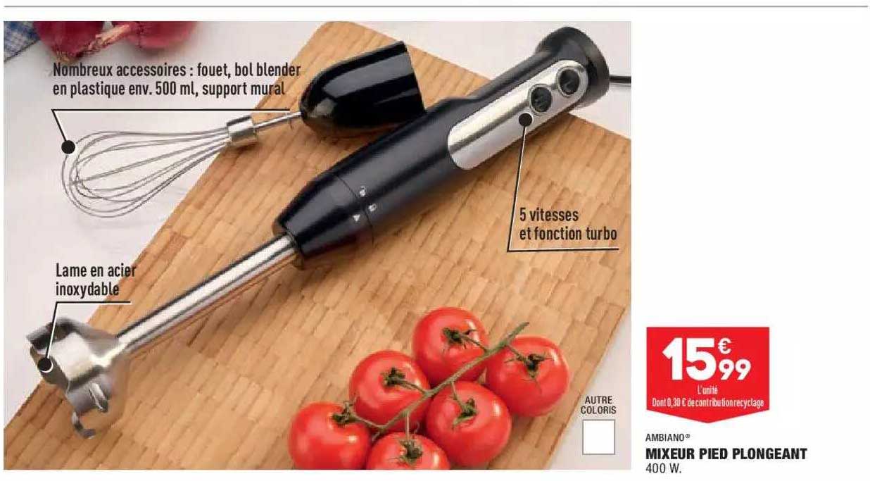 Mixeur Pied Plongeant Ambiano