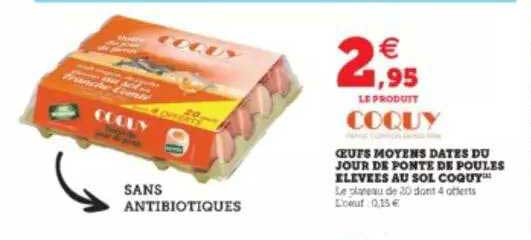 oeufs moyens datés du jour de ponte de poules élevées au sol coquy