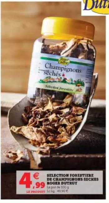 sélection forestière de champignons sèches roger dutruy