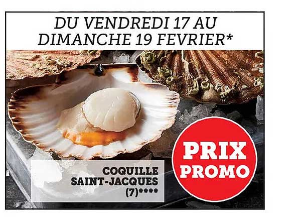 coquille saint-jacques