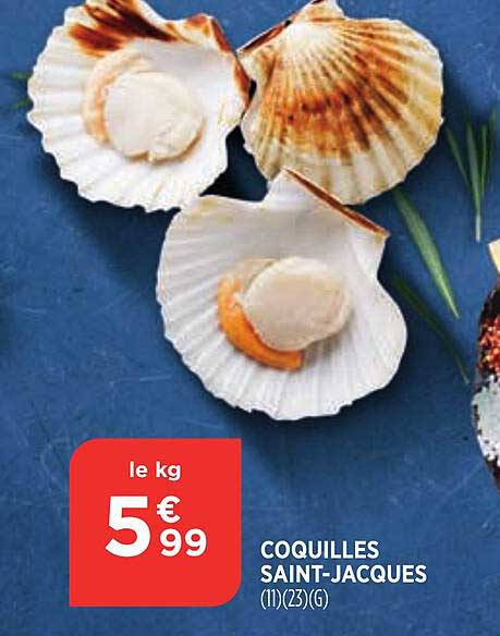 Coquilles Saint-jacques