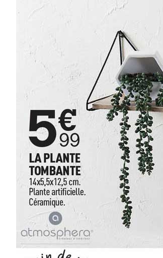 la plante tombante