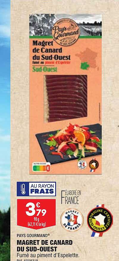 magret de canard du sud-ouest pays gourmand