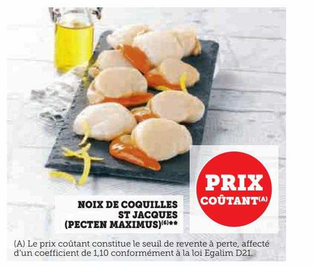 noix de coquilles st jacques (pecten maximus)