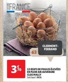 12 œufs de poules élevées en plein air auvergne clos mally