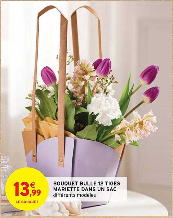bouquet bulle 12 tiges mariette dans un sac