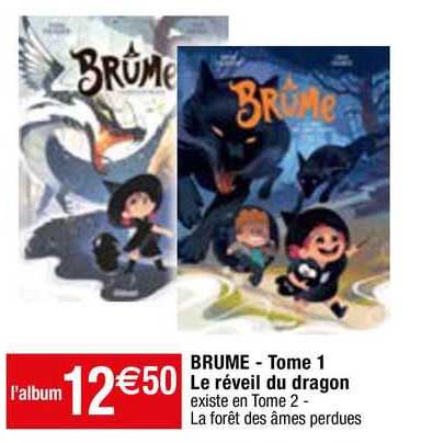 brume - tome 1 le réveil du dragon