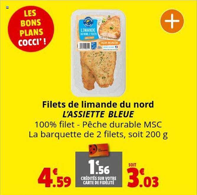 filets de limande du nord l'assiette bleue