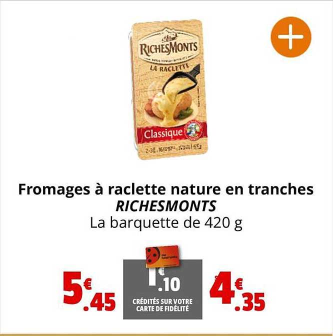 Fromages à Raclette Nature En Tranches Richesmonts