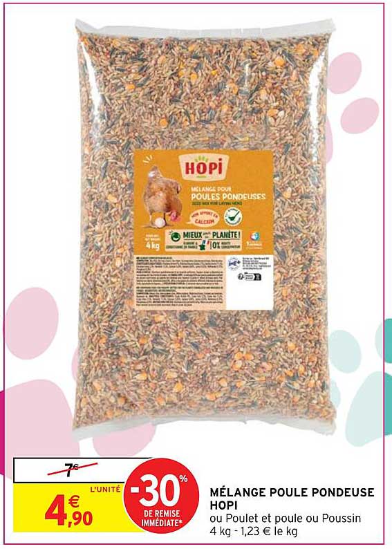 mélange poule pondeuse hopi