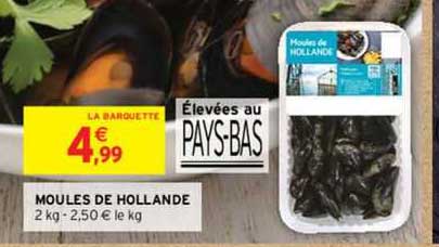 Moules De Hollande