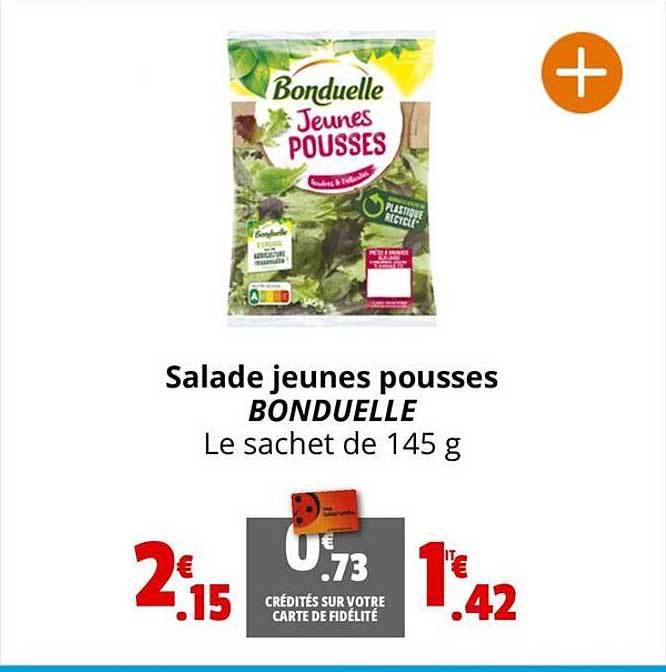 salade jeunes pousses bonduelle