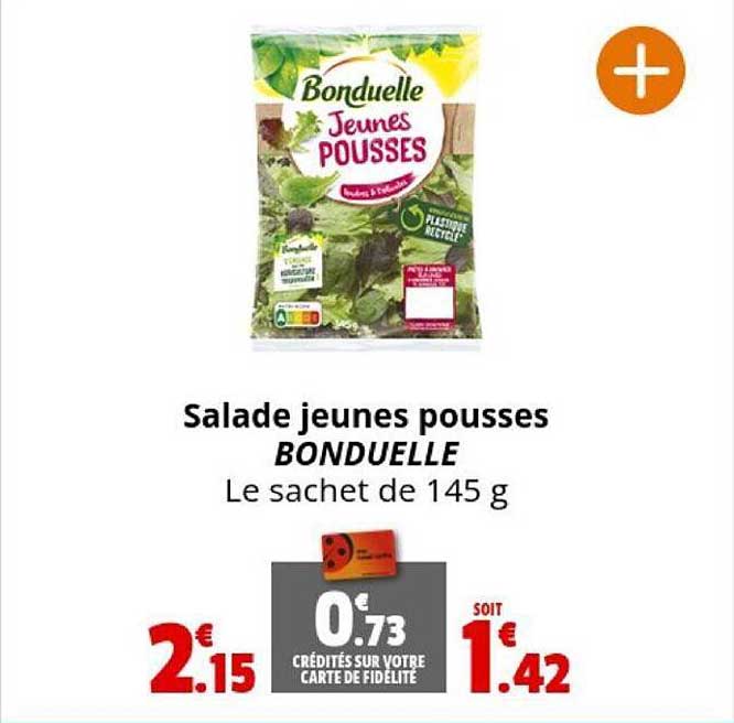 salade jeunes pousses bonduelle