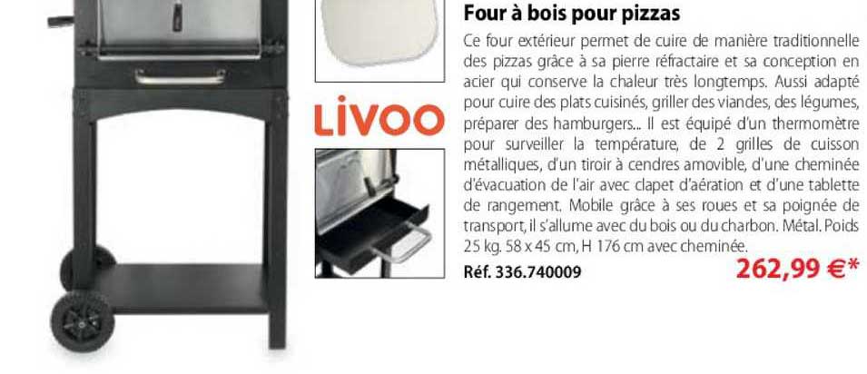 Four à Bois Pour Pizzas