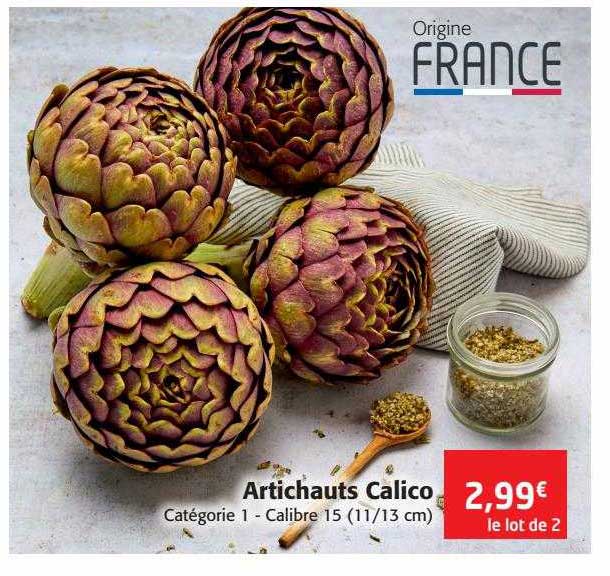 artichauts calico