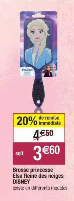 brosse princesse elsa reine des neiges disney
