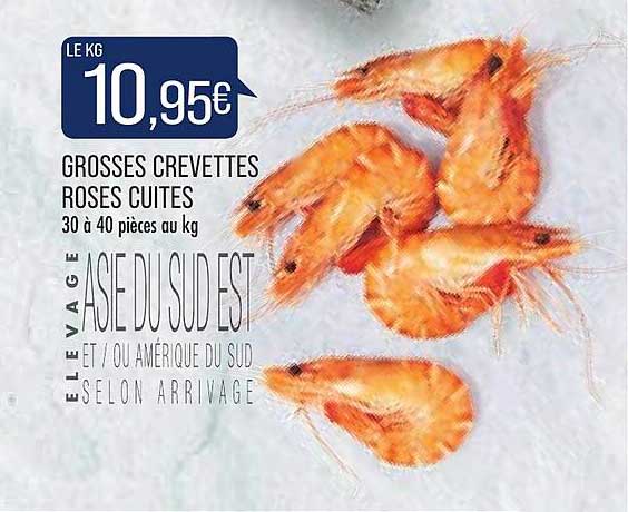 grosses crevettes roses cuites