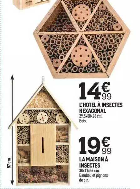 l'hôtel à insectes hexagonal, la maison à insectes
