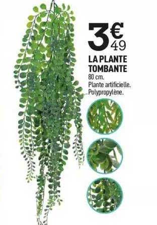 la plante tombante