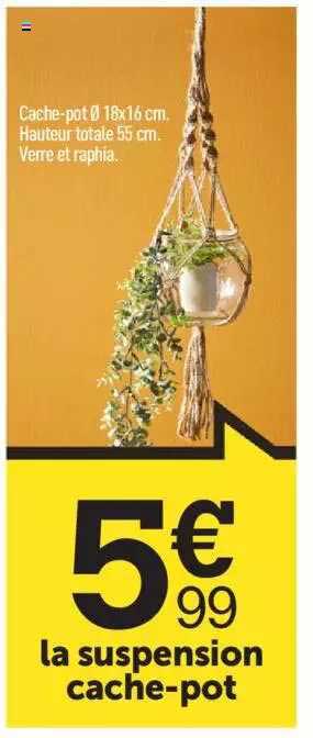 la suspension cache-pot