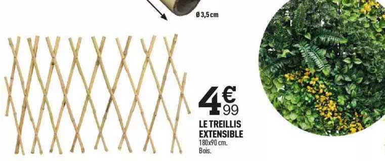 Le Treillis Extensible