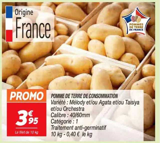 pomme de terre de consommation mélody et-ou agata et-ou taisiya et-ou orchestra